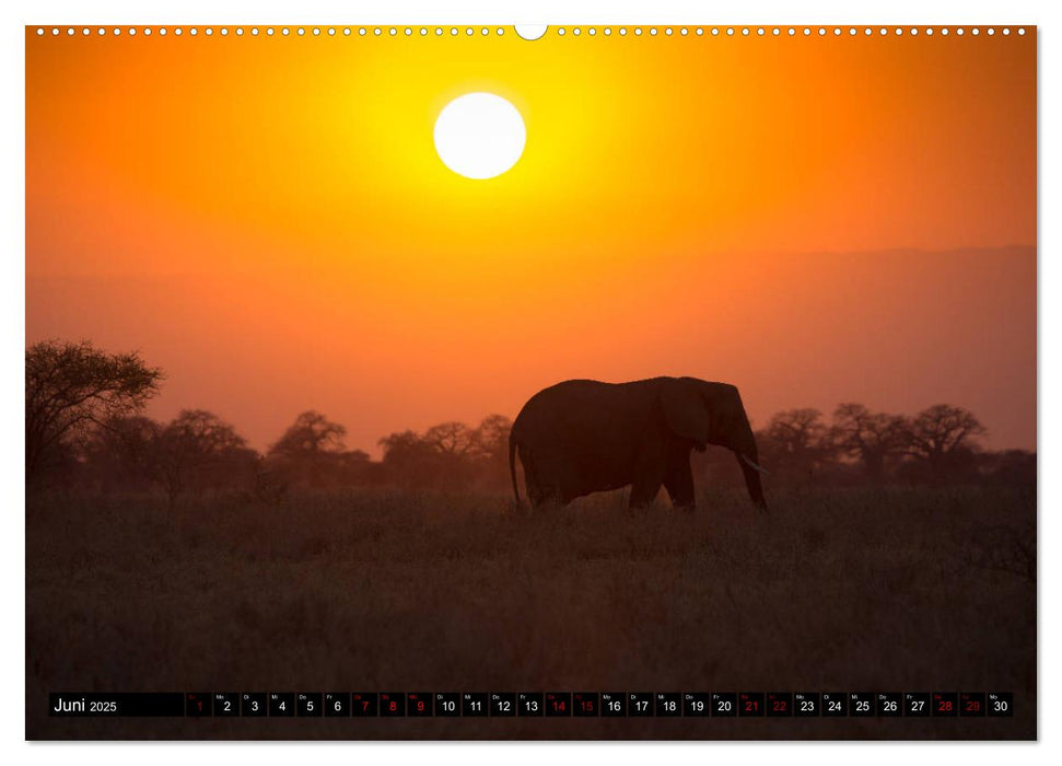 Tansania - Tierwanderung in der Serengeti (CALVENDO Wandkalender 2025)