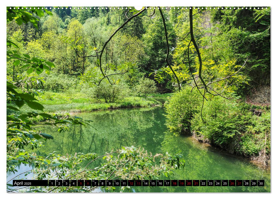 Ausflugsziele rund um Isny (CALVENDO Premium Wandkalender 2025)