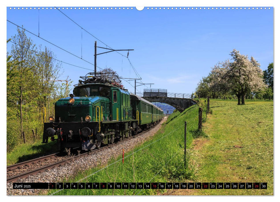 Eisenbahn-Nostalgie - Oldtimer auf Schweizer Schienen (CALVENDO Premium Wandkalender 2025)