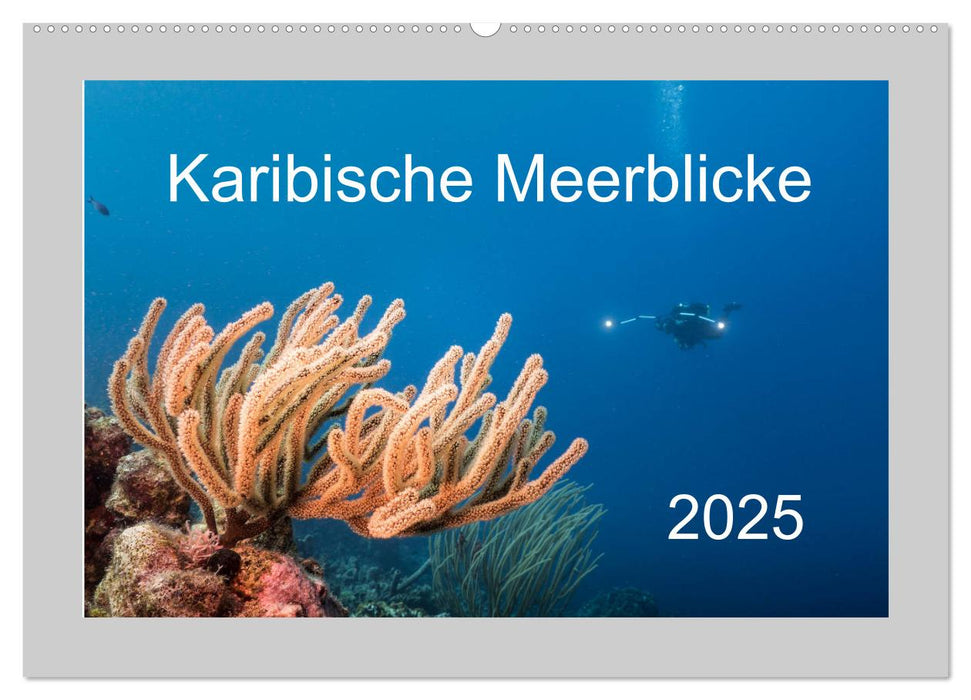 Karibische Meerblicke (CALVENDO Wandkalender 2025)