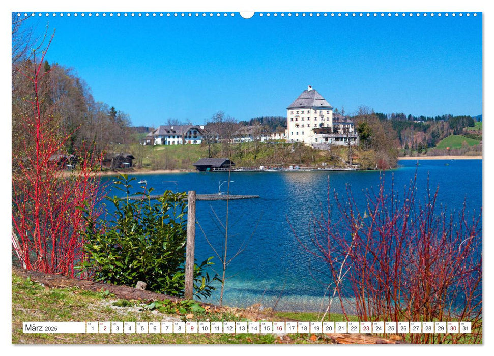 Die Flachgauer Seen (CALVENDO Premium Wandkalender 2025)