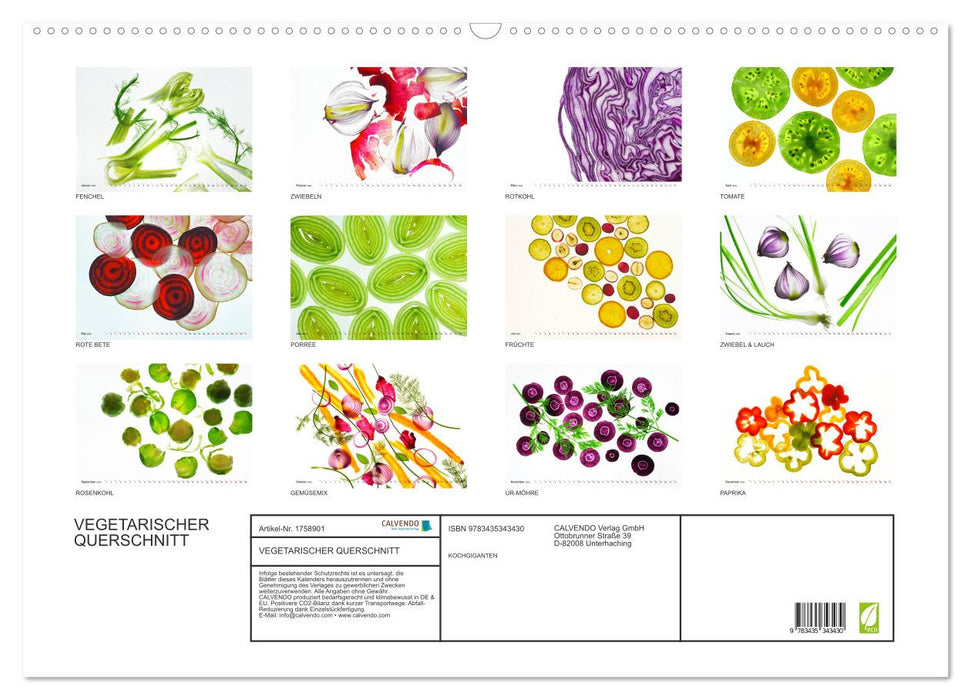 VEGETARISCHER QUERSCHNITT (CALVENDO Wandkalender 2025)