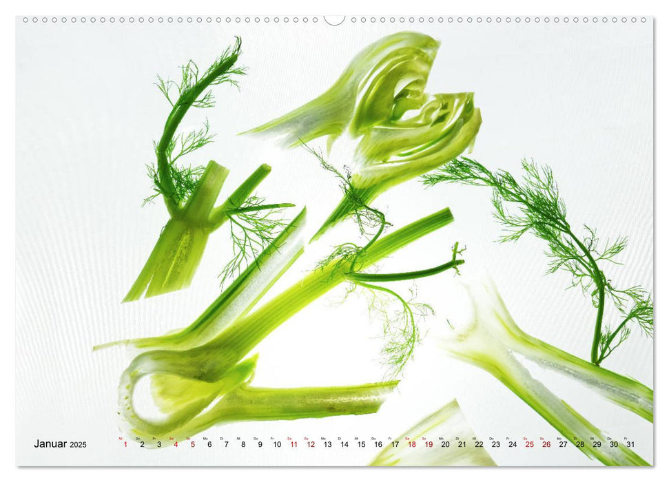 VEGETARISCHER QUERSCHNITT (CALVENDO Wandkalender 2025)