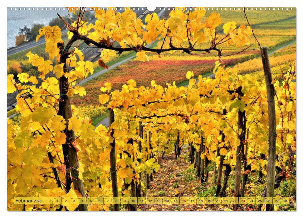 Herbstleuchten an der Mosel (CALVENDO Premium Wandkalender 2025)