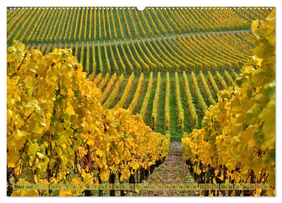 Herbstleuchten an der Mosel (CALVENDO Premium Wandkalender 2025)