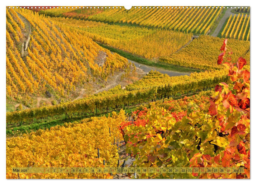 Herbstleuchten an der Mosel (CALVENDO Premium Wandkalender 2025)