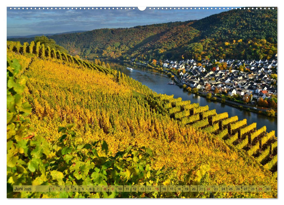 Herbstleuchten an der Mosel (CALVENDO Premium Wandkalender 2025)