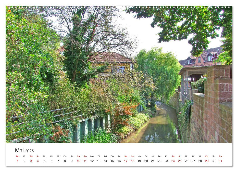 Wiesloch - Spaziergang durch die Altstadt (CALVENDO Premium Wandkalender 2025)