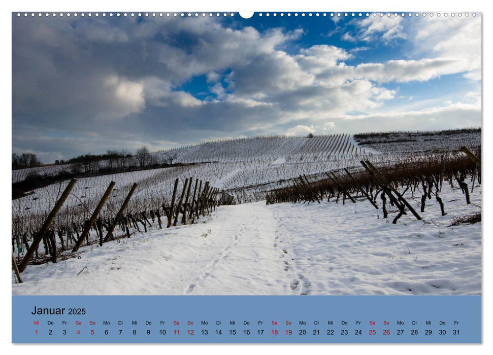 Die Weinstaße im Elsass (CALVENDO Premium Wandkalender 2025)