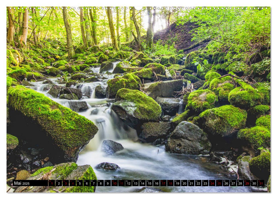 Westerwaldliebe (CALVENDO Wandkalender 2025)