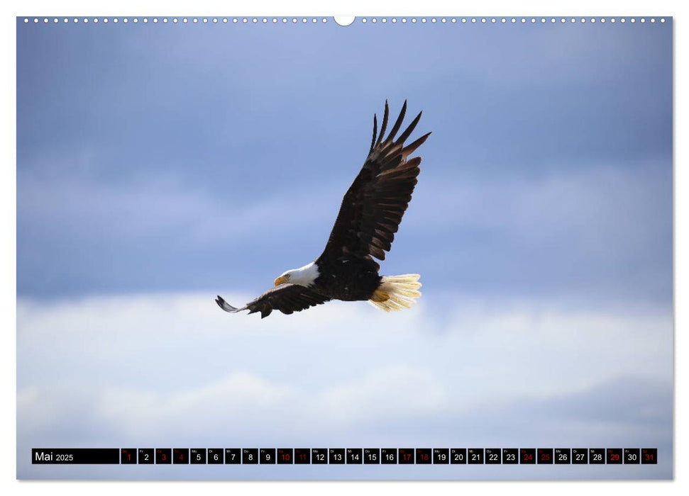 Auf den Spuren der Indianer - Unterwegs in Nordamerika (CALVENDO Wandkalender 2025)