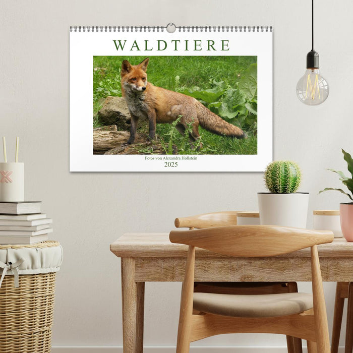 Waldtiere (CALVENDO Wandkalender 2025)