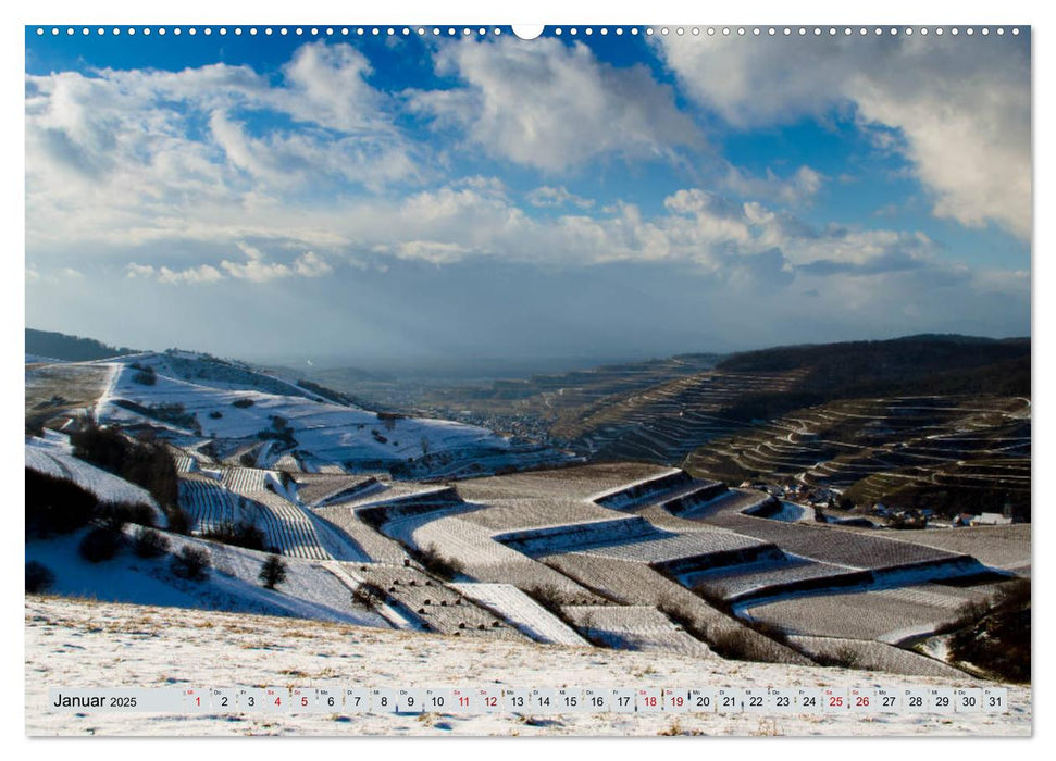 Weinregion Kaiserstuhl (CALVENDO Premium Wandkalender 2025)