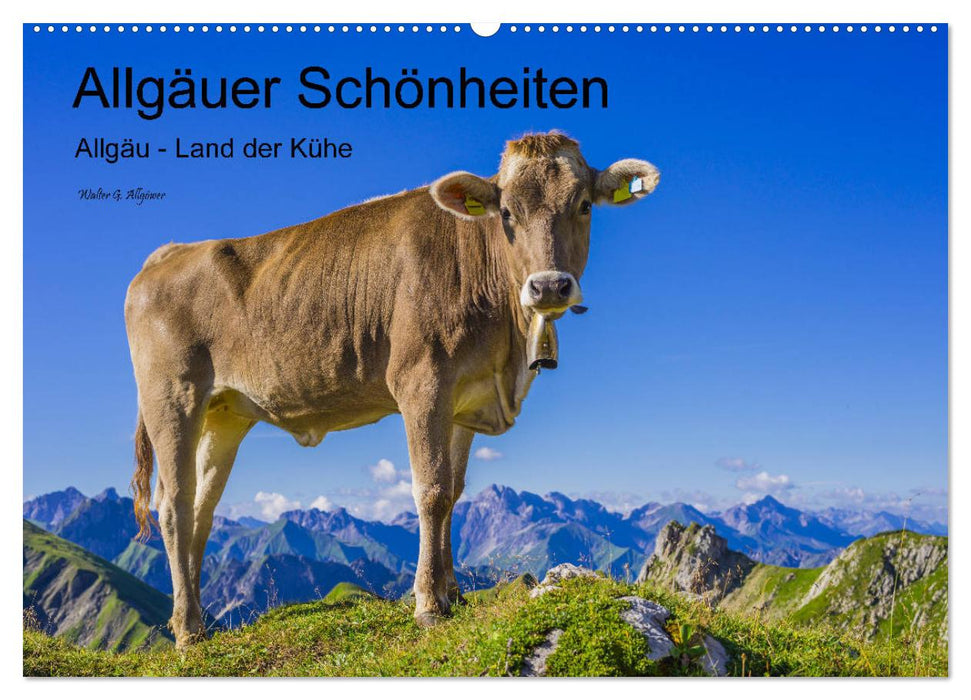 Allgäuer Schönheiten Allgäu - Land der Kühe (CALVENDO Wandkalender 2025)