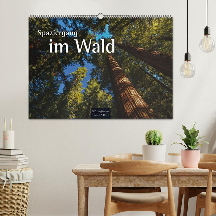 Spaziergang im Wald (CALVENDO Wandkalender 2025)