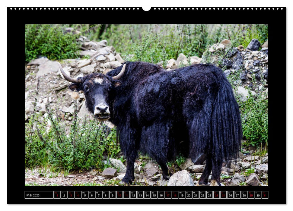 Eine Rundreise durch Tibet (CALVENDO Premium Wandkalender 2025)