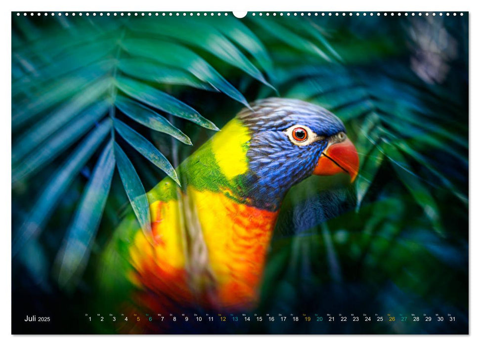 Dschungelleben - Tierportraits (CALVENDO Premium Wandkalender 2025)