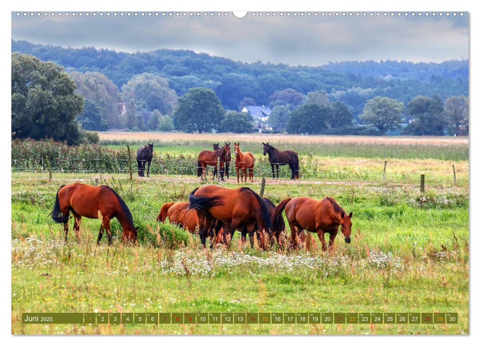 Im schönen Havelland (CALVENDO Premium Wandkalender 2025)