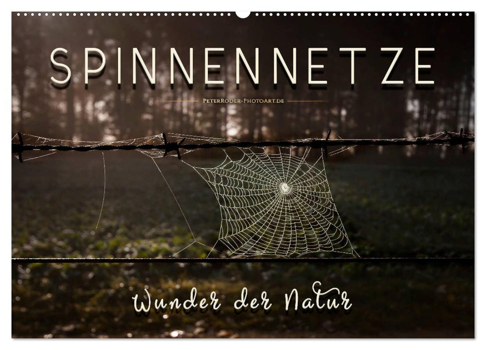 Spinnennetze - Wunder der Natur (CALVENDO Wandkalender 2025)