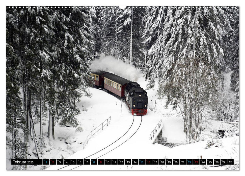 Dampf am Brocken - Die Harzquerbahn (CALVENDO Premium Wandkalender 2025)