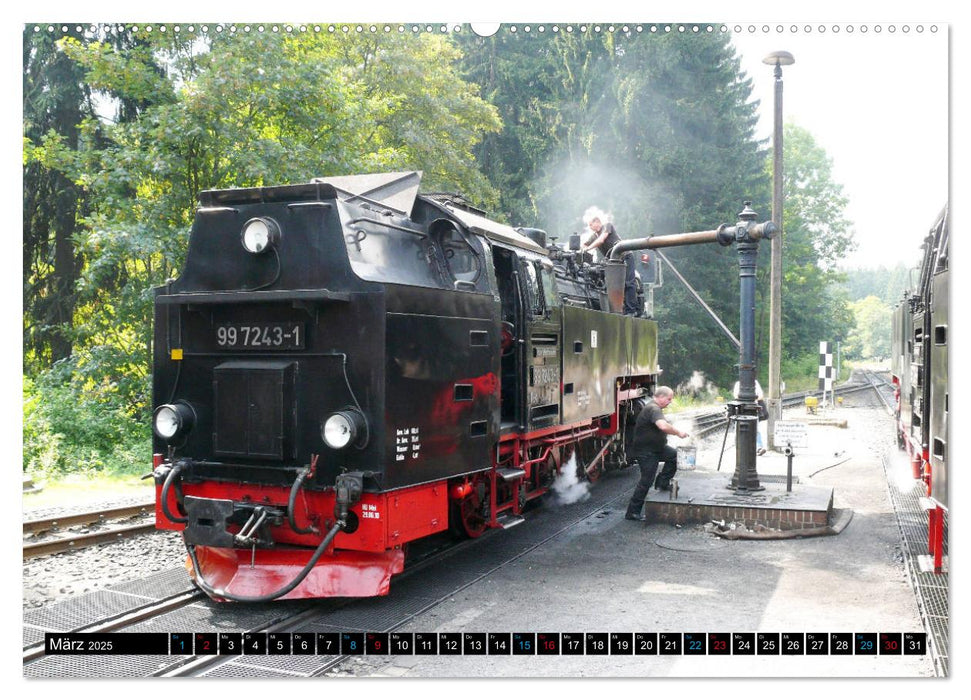 Dampf am Brocken - Die Harzquerbahn (CALVENDO Premium Wandkalender 2025)