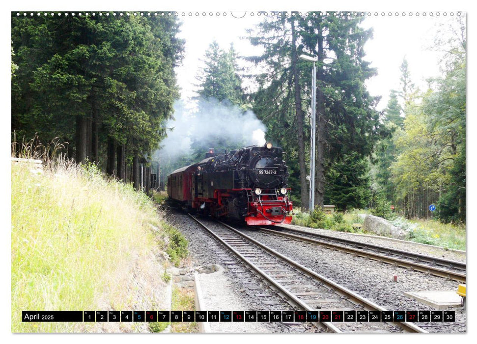 Dampf am Brocken - Die Harzquerbahn (CALVENDO Premium Wandkalender 2025)