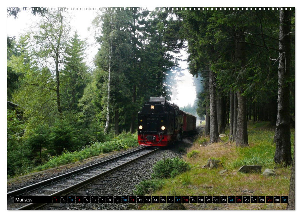 Dampf am Brocken - Die Harzquerbahn (CALVENDO Premium Wandkalender 2025)