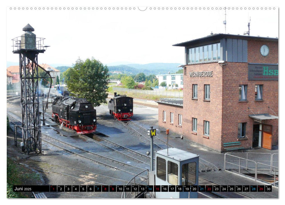 Dampf am Brocken - Die Harzquerbahn (CALVENDO Premium Wandkalender 2025)