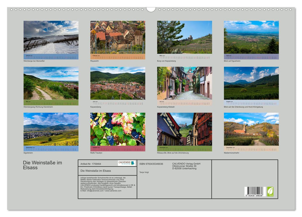 Die Weinstaße im Elsass (CALVENDO Wandkalender 2025)