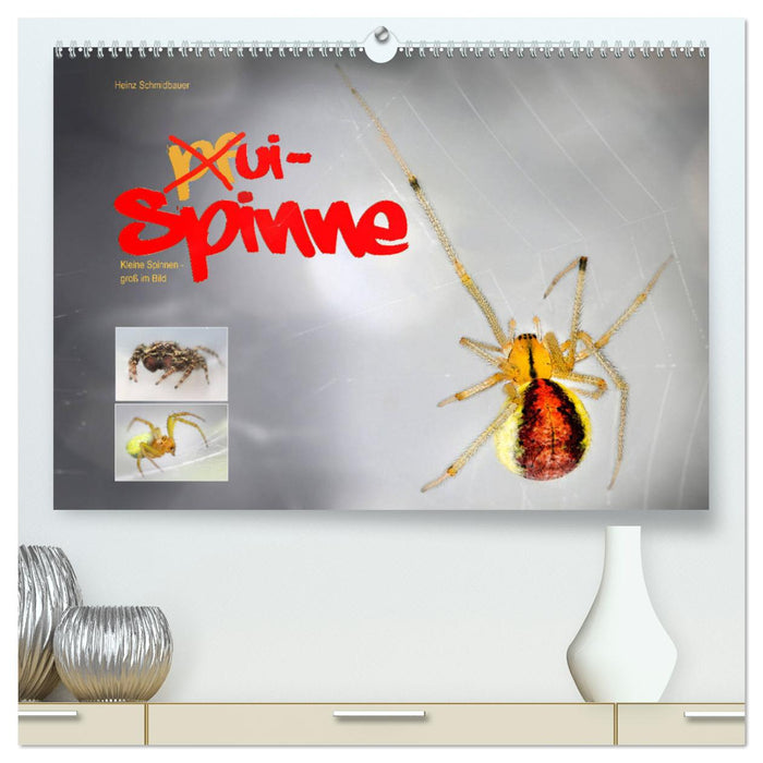 ui - Spinne. Kleine Spinnen - groß im Bild (CALVENDO Premium Wandkalender 2025)