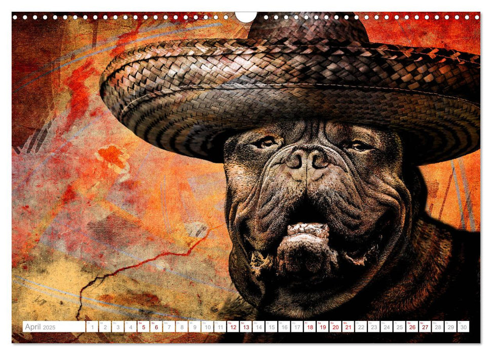 Hund trägt Hut (CALVENDO Wandkalender 2025)