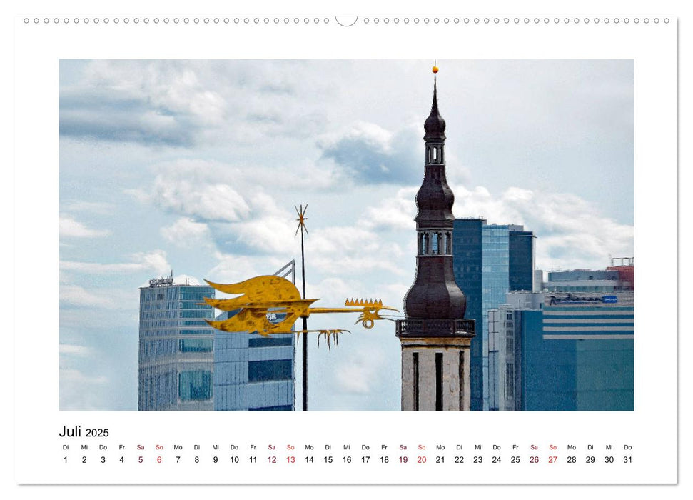 Tallinn Blick vom Domberg (CALVENDO Premium Wandkalender 2025)