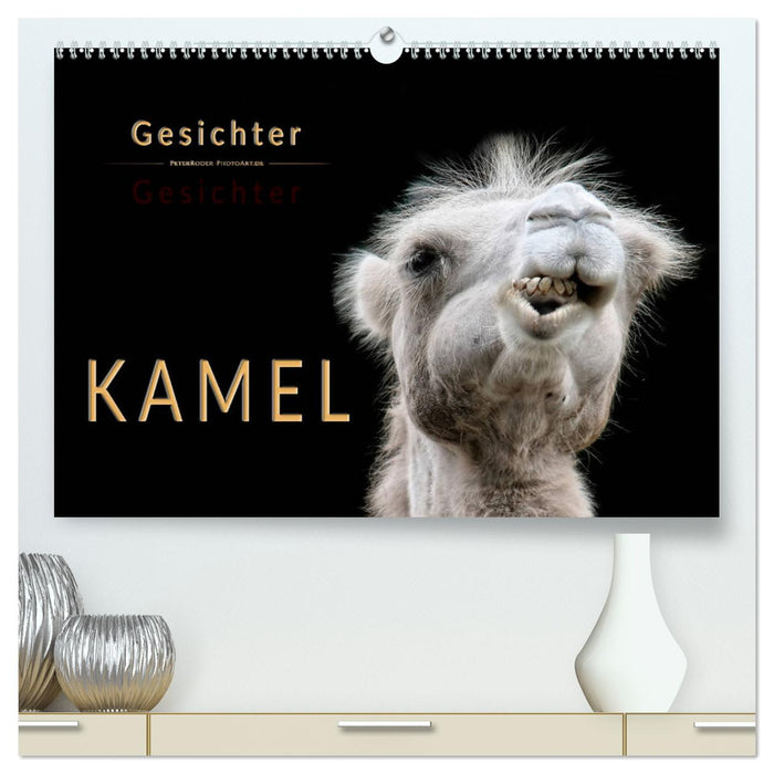 Kamel Gesichter (CALVENDO Premium Wandkalender 2025)