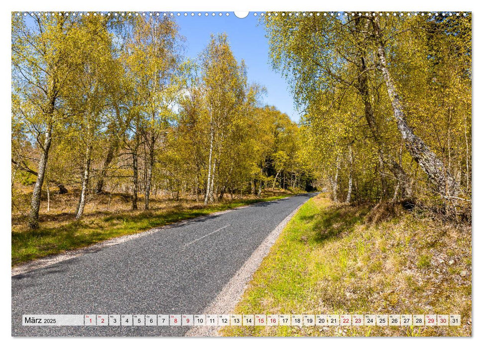 Nordjütland - die Spitze Dänemarks (CALVENDO Wandkalender 2025)