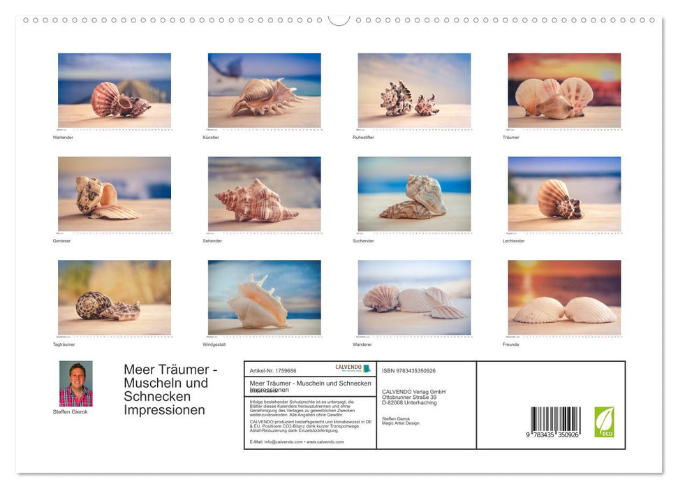 Meer Träumer - Muscheln und Schnecken Impressionen (CALVENDO Premium Wandkalender 2025)