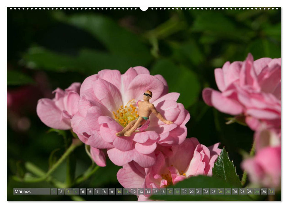 Miniaturfiguren in der Makrowelt ...ganz groß im Garten (CALVENDO Premium Wandkalender 2025)