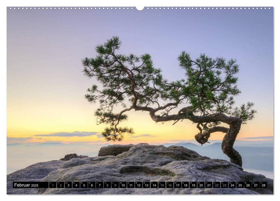 Wunderschönes Elbsandsteingebirge (CALVENDO Wandkalender 2025)