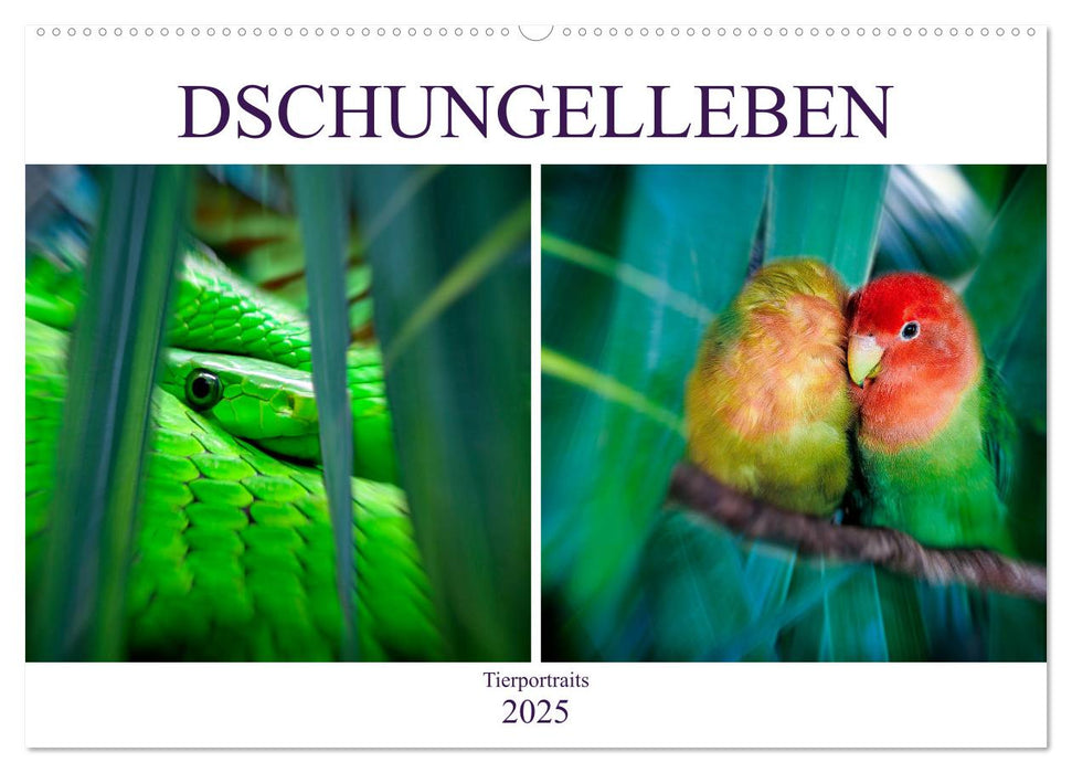 Dschungelleben - Tierportraits (CALVENDO Wandkalender 2025)