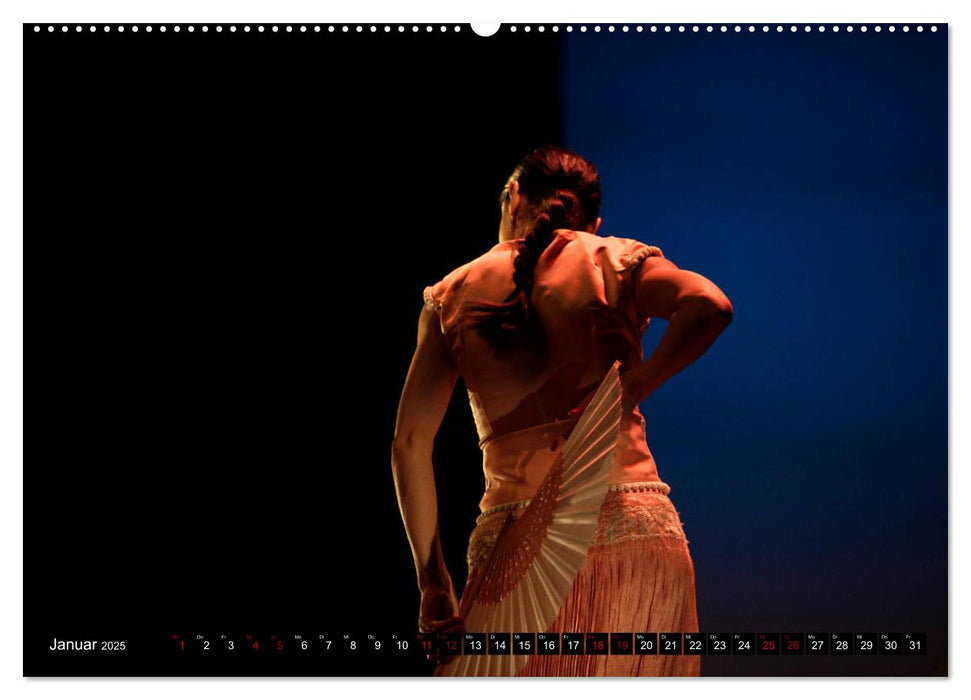 Flamenco. Spanischer Tanz (CALVENDO Premium Wandkalender 2025)