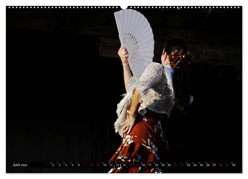 Flamenco. Spanischer Tanz (CALVENDO Premium Wandkalender 2025)