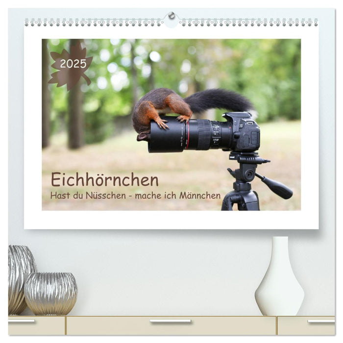 Eichhörnchen - Hast du Nüsschen mache ich Männchen (CALVENDO Premium Wandkalender 2025)