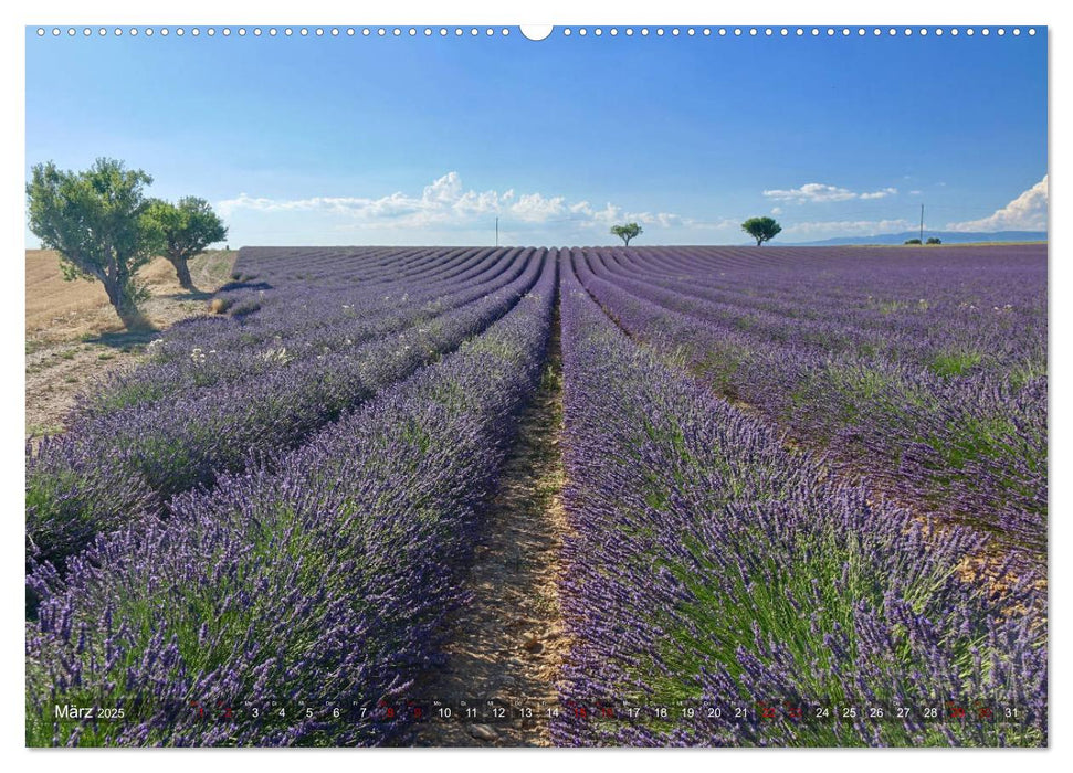 Lavendel. Der Duft der Provence (CALVENDO Premium Wandkalender 2025)