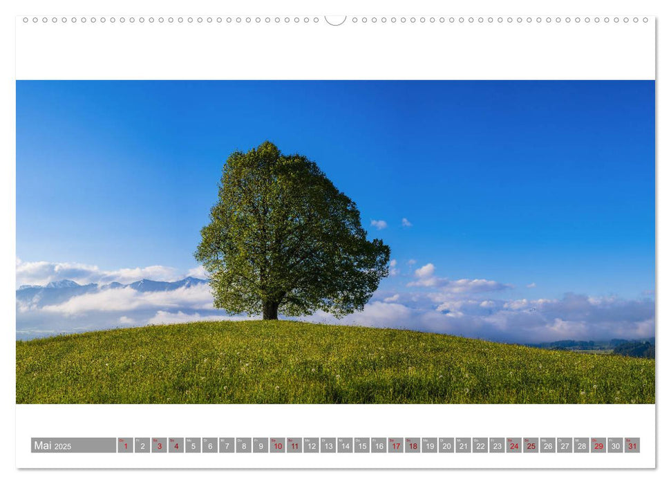 Oberallgäu Panorama (CALVENDO Premium Wandkalender 2025)