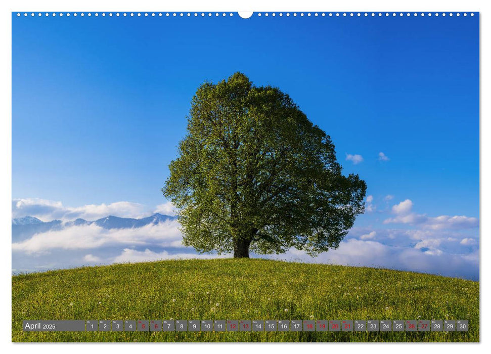 Schöne Wanderungen um Oberstdorf (CALVENDO Premium Wandkalender 2025)