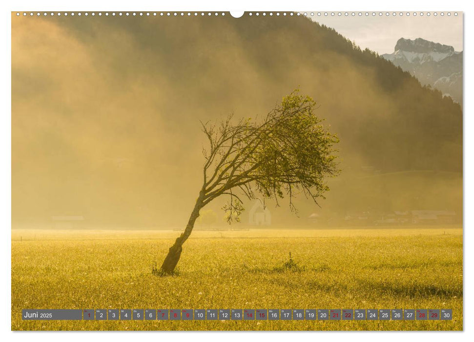 Schöne Wanderungen um Oberstdorf (CALVENDO Premium Wandkalender 2025)