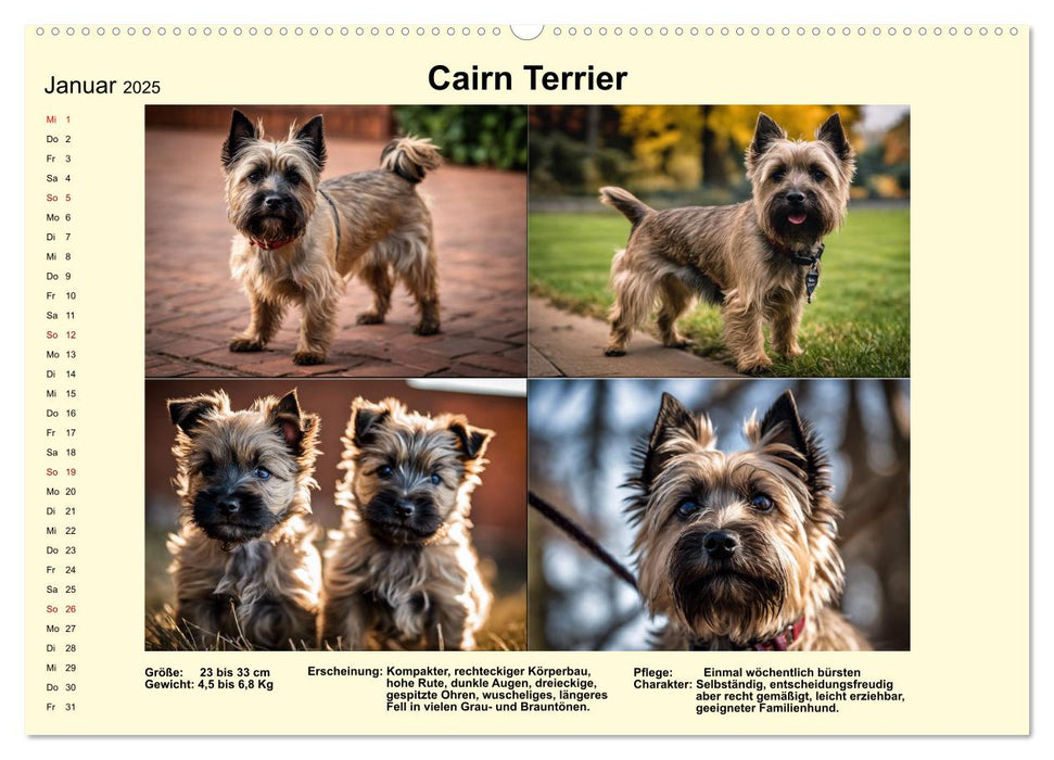 Terrier-Rassen im Portrait (CALVENDO Premium Wandkalender 2025)