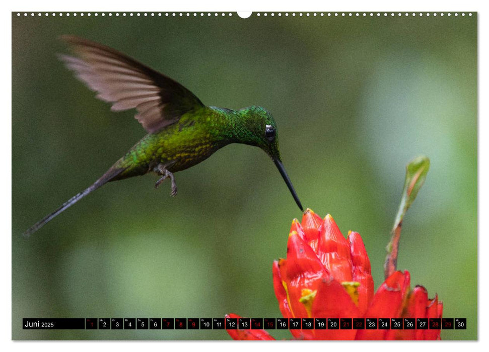 Traumwelt Ecuador (CALVENDO Wandkalender 2025)