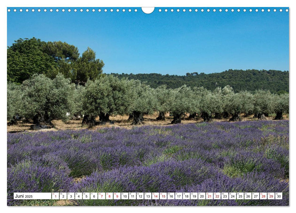 Mit dem Rennrad zum Mont Ventoux (CALVENDO Wandkalender 2025)