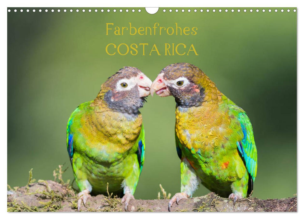 Farbenfrohes Costa Rica (CALVENDO Wandkalender 2025)