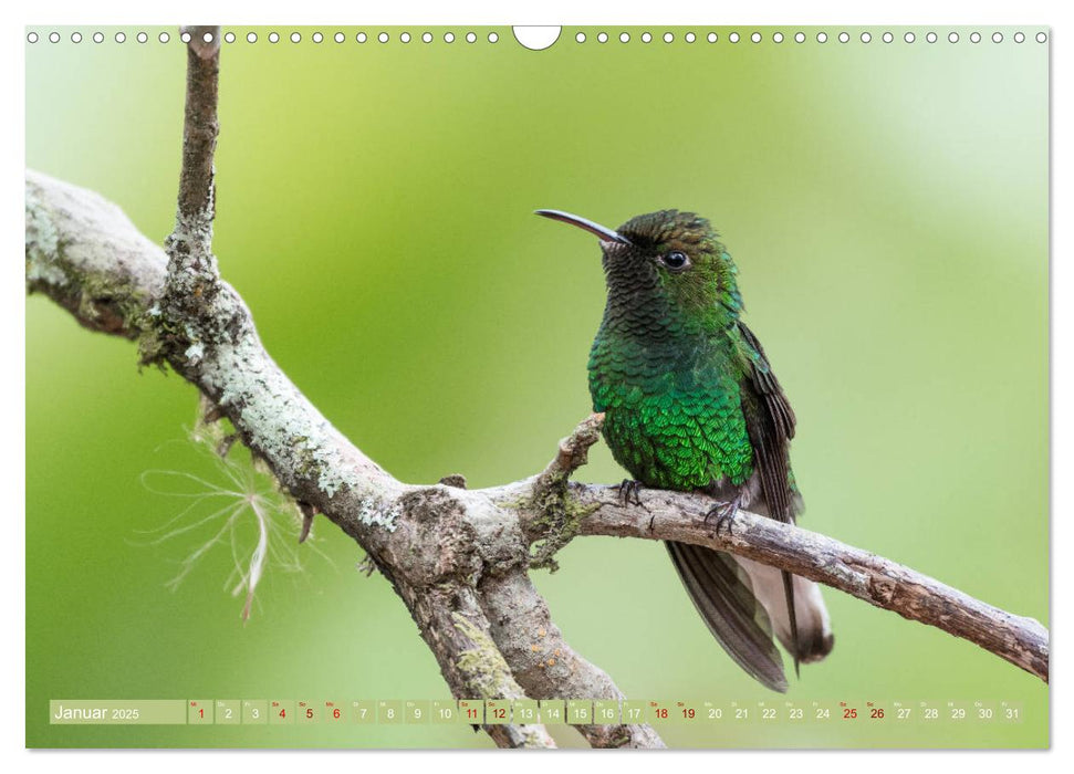 Farbenfrohes Costa Rica (CALVENDO Wandkalender 2025)